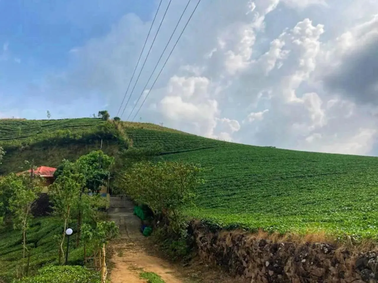Maverick Holidays Inn Family Villa Vagamon 0*,  India