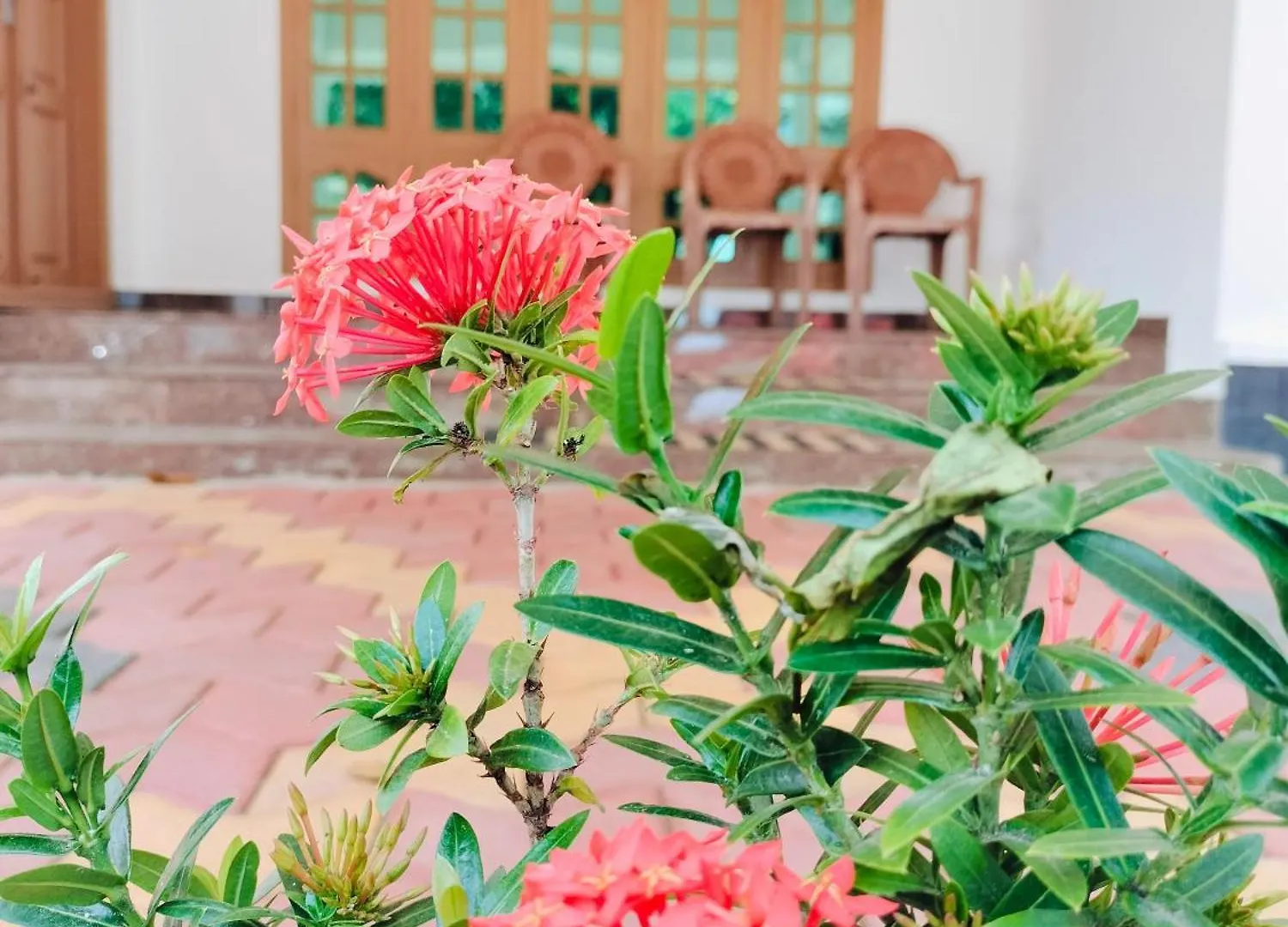 Maverick Holidays Inn Family Villa Vagamon